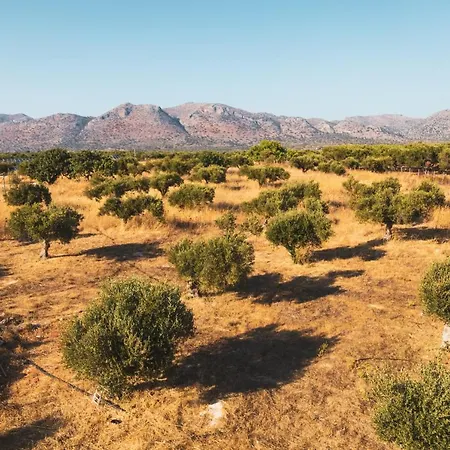 Villa Private, Quiet, Isolated In Chania / Homealone